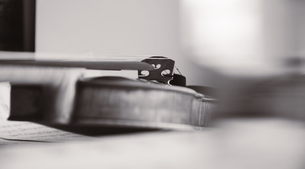 Kuvassa viulu, lähikuva ja mustavalkoinen.